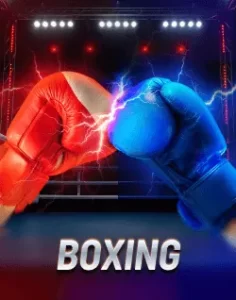 77jl website image 25 showing boxing